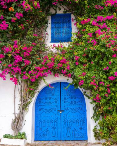 The Doors and Gates of Tunisia - Blue door in Sidi Bou Saïd overgrown with vegetation and flowers